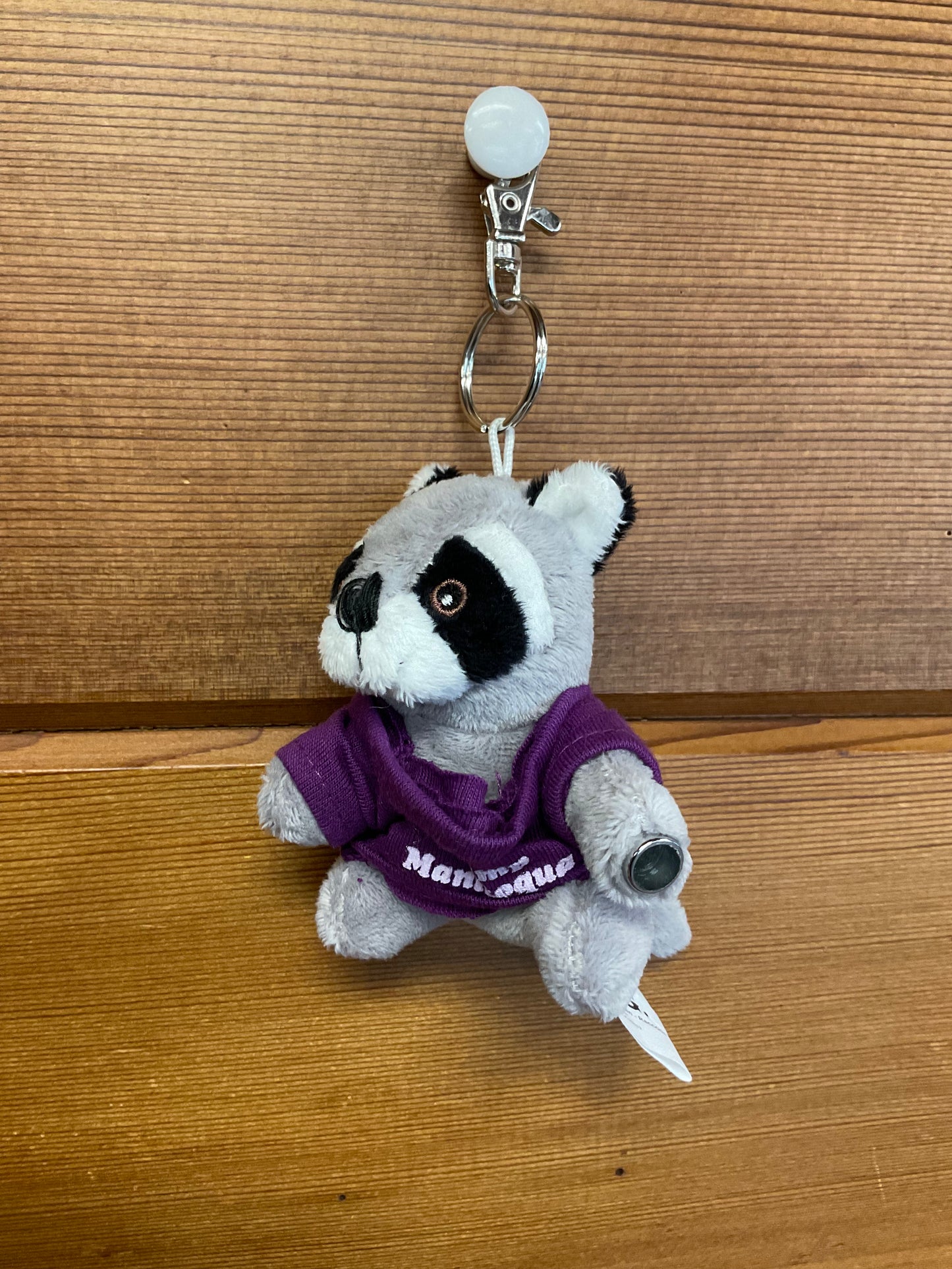 LED Animal Keychains